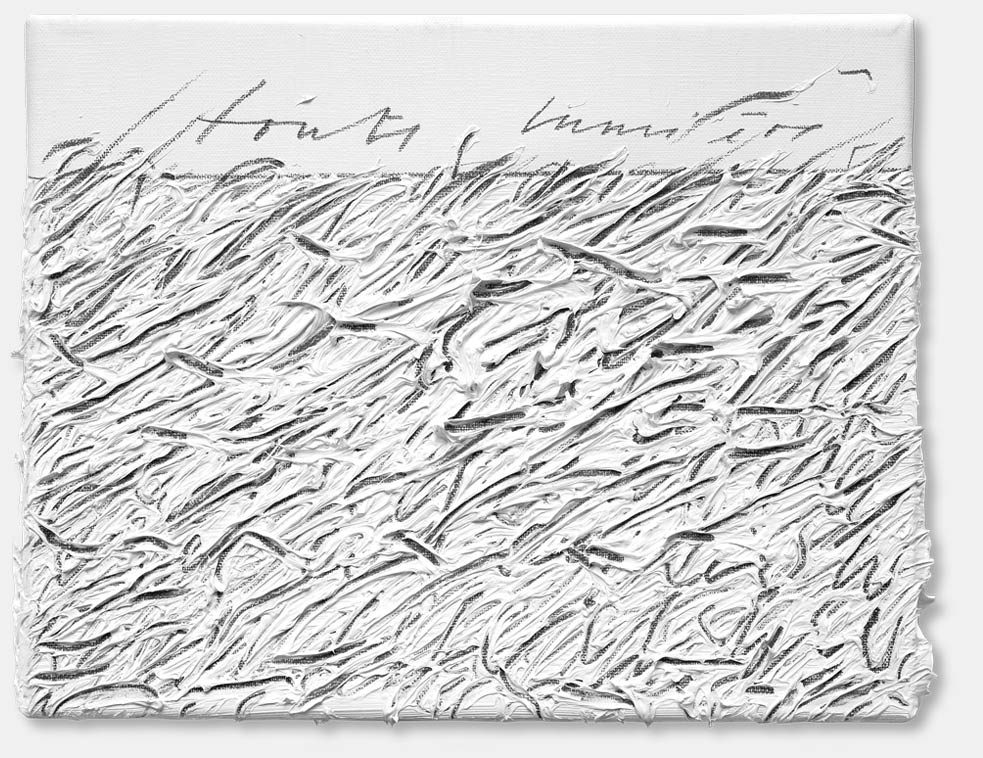 « Là-haut…, 2 » triptyque, huile, graphite sur toile, 24 x 30 cm, 2010