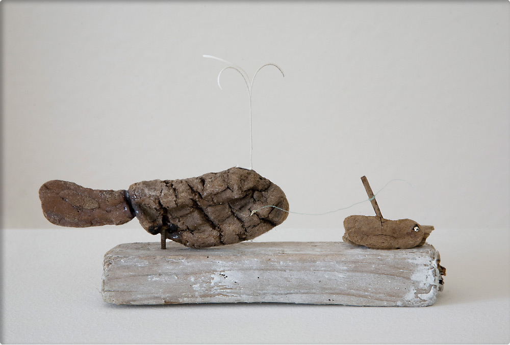 “Au large de Tadoussac, 4” object, flotsam and jetsam, 20 x 25 x 20 cm, 2009