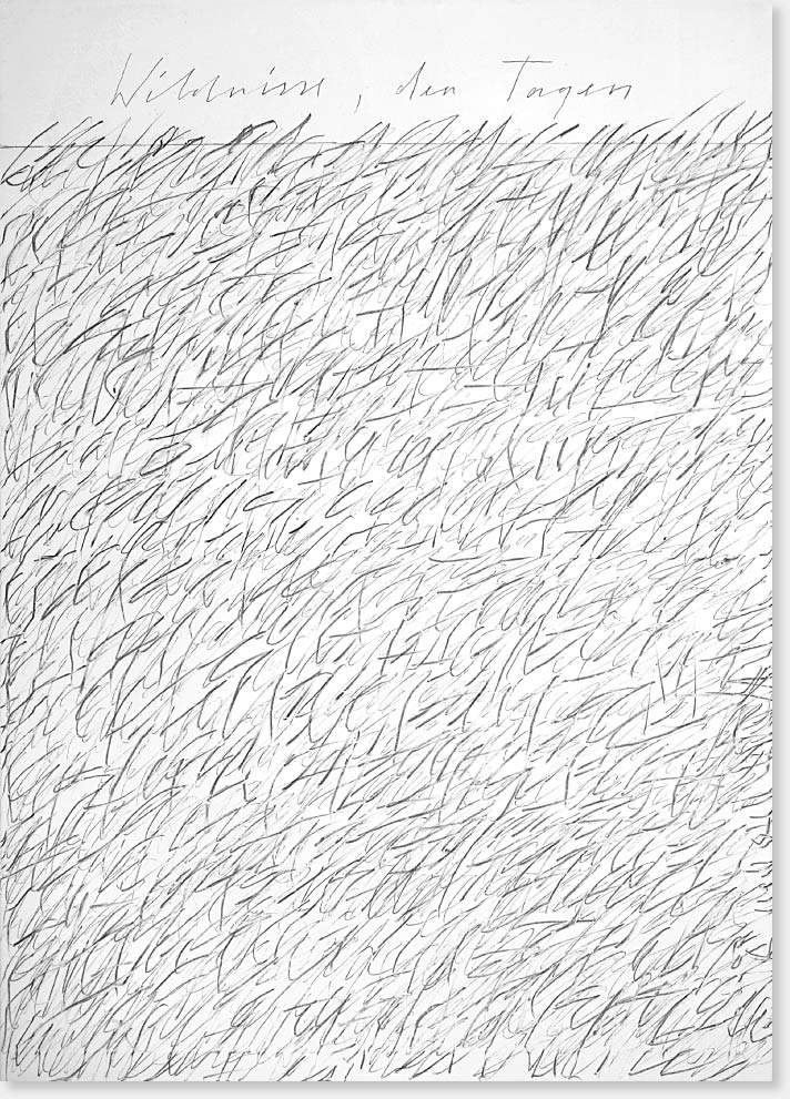 „Wildnisse, den Tagen, 1“ Diptychon, Öl, Graphit auf Leinwand, 140 x 100 cm, 2009 