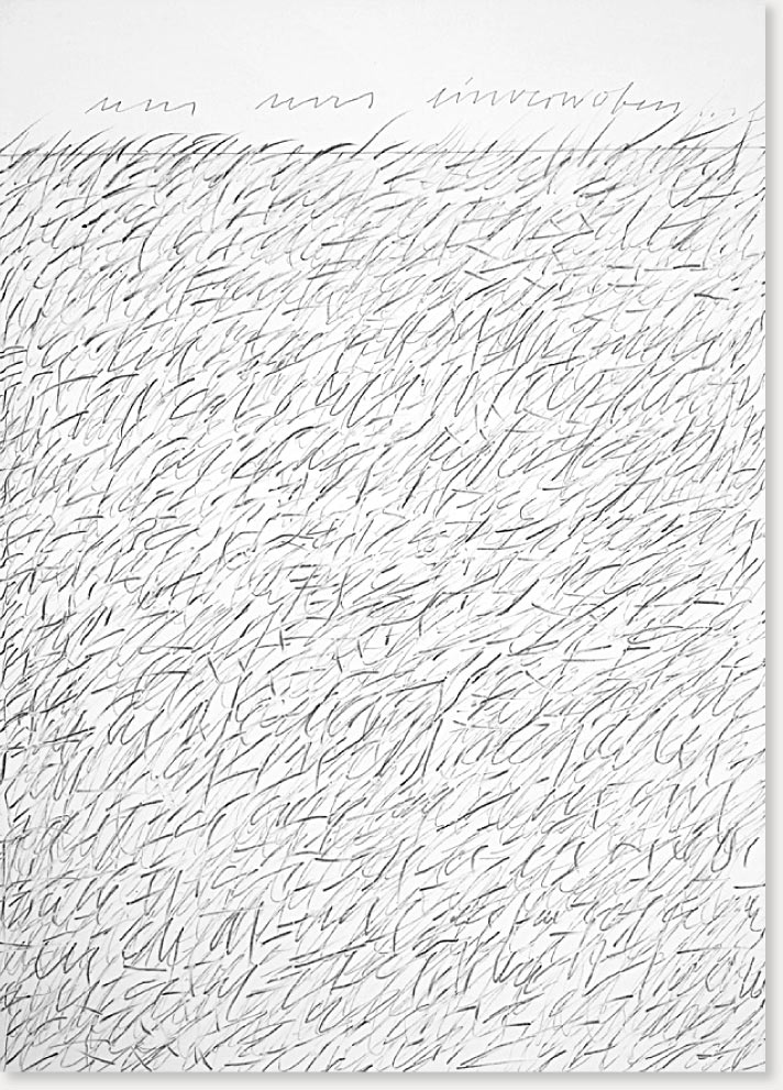 „Wildnisse, den Tagen, 2“ Diptychon, Öl, Graphit auf Leinwand, 140 x 100 cm, 2009