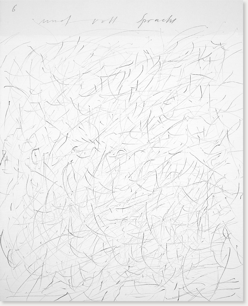 « Vogelflug, Steinflug, 6 » huile, graphite sur toile, 100 x 80 cm, 2008