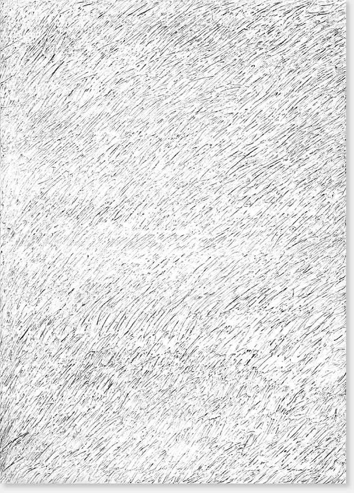„Voici que tout commence, 2“ Serie von drei Arbeiten, Öl, Graphit auf Leinwand, 140 x 100 cm, 2012 