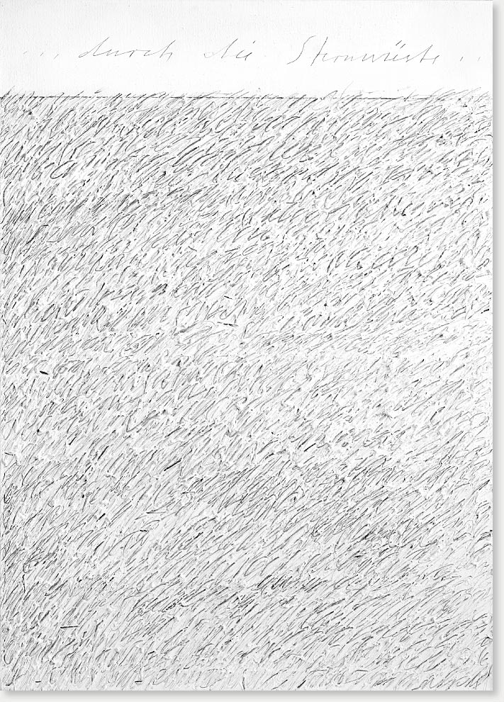 „Durch die Sternwüste“ Öl, Graphit auf Leinwand, 140 x 100 cm, 2010
